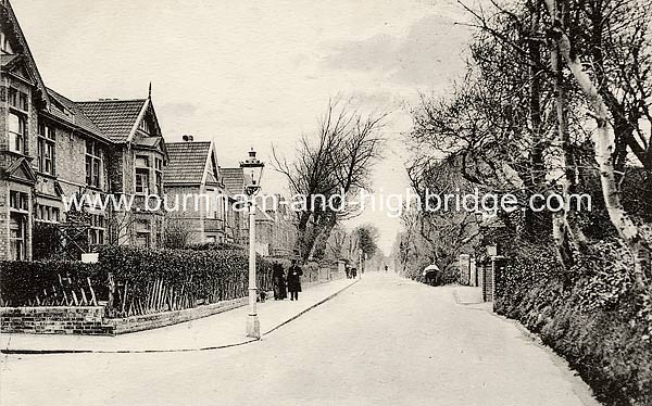 Berrow_Road_General_View